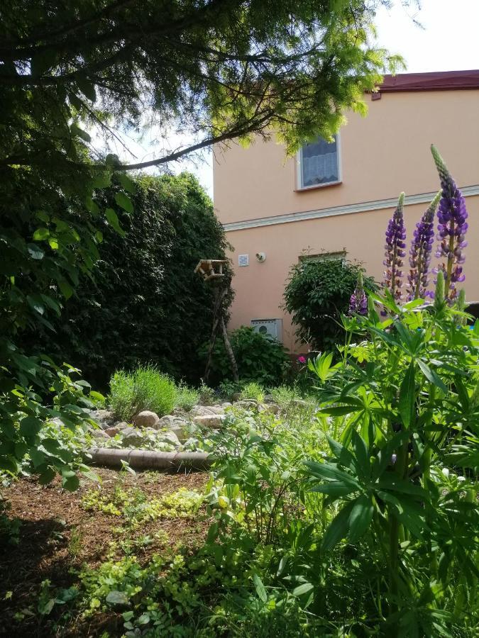 Mv Apartamenty Komfort Augustów Dış mekan fotoğraf